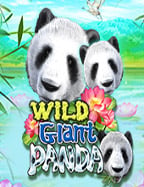 Medusa รีวิว สุดยอดเกมสล็อตจาก CQ9 ที่ไม่ควรพลาด